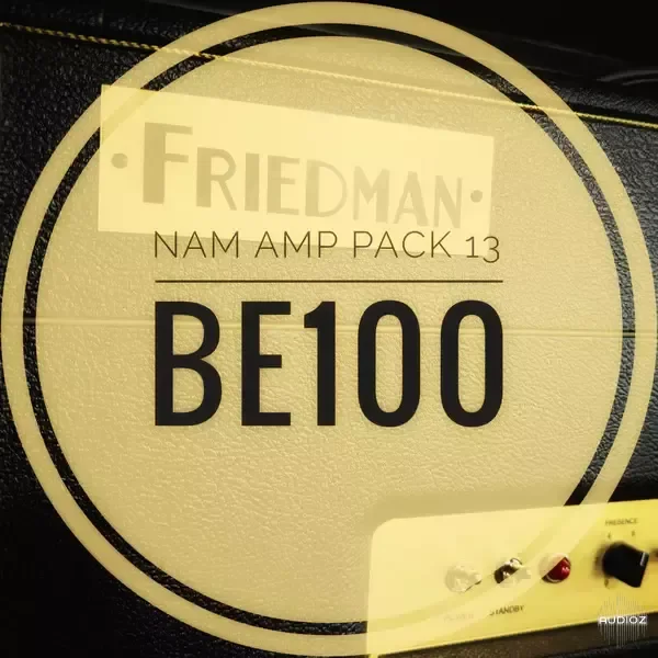 mirrorprofiles NAM Amp Pack 13 BE100