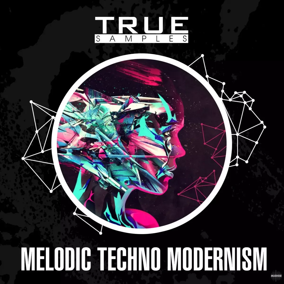 True Samples Melodic Techno Modernism MULTiFORMAT-FANTASTiC