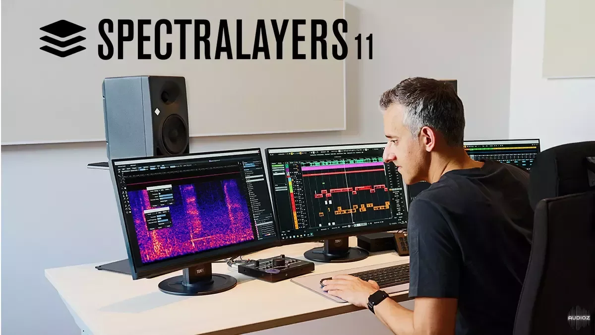 Steinberg SpectraLayers 11 Pro v11.0.70 U2B macOS