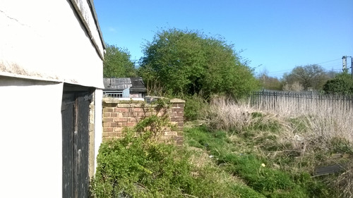 garden March 2025.1