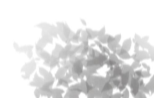 24233.2