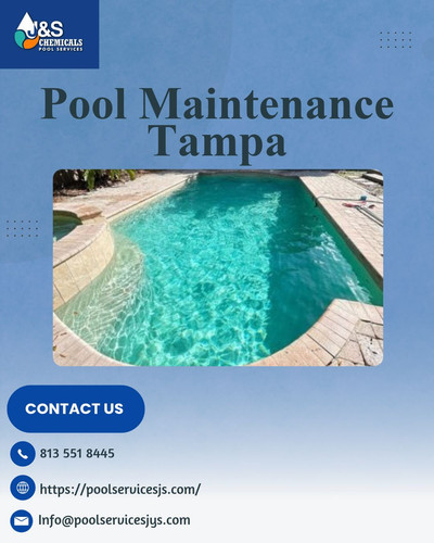 What Are the Benefits of Professional Pool Maintenance Tampa?.1