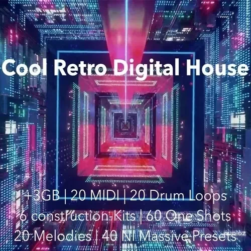 The Audio Bar Cool Retro Digital House WAV MiDi Ni Massive Presets-FANTASTiC
