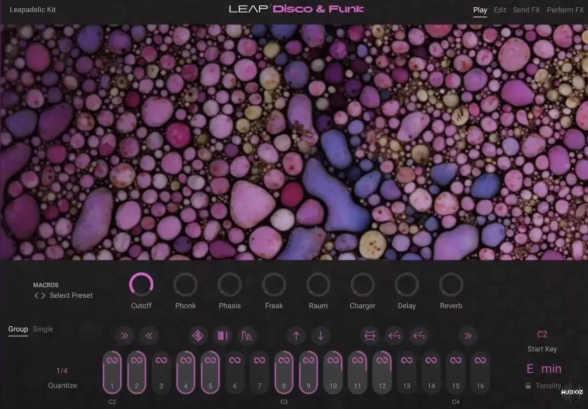 Native Instruments Leap Disco and Funk v1.0.0 KONTAKT-HiDERA