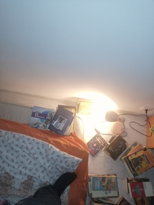 IMG 20261025 003305.1