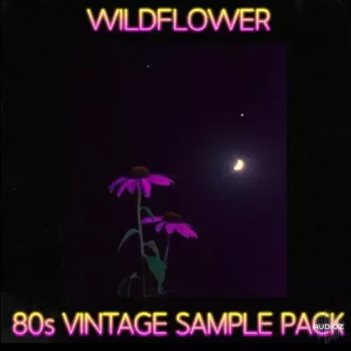 Sound Planet Wildflower 80s Sample Pack WAV
