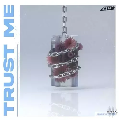 Sample Hub Trust Me WAV MiDi-FANTASTiC
