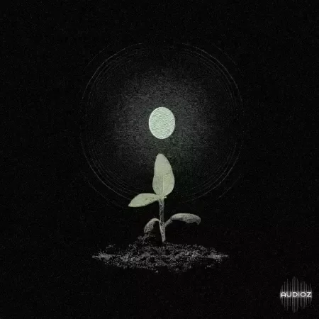Jonnywood Earth (Multikit) WAV-FANTASTiC