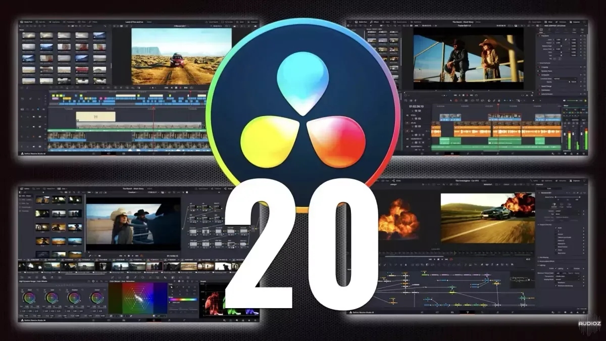 Blackmagic Design DaVinci Resolve Studio 20.2.3 Multilingual macOS