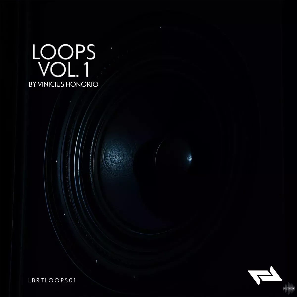 Vinicius Honorio Loops Vol.01 WAV-FANTASTiC