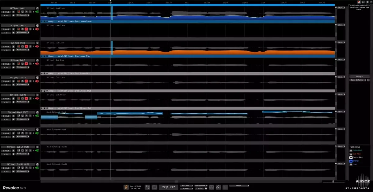Synchro Arts ReVoice Pro v5.1.30 macOS-iamdumb