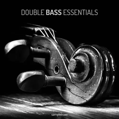 SampleTraxx Double Bass Essentials KONTAKT WAV