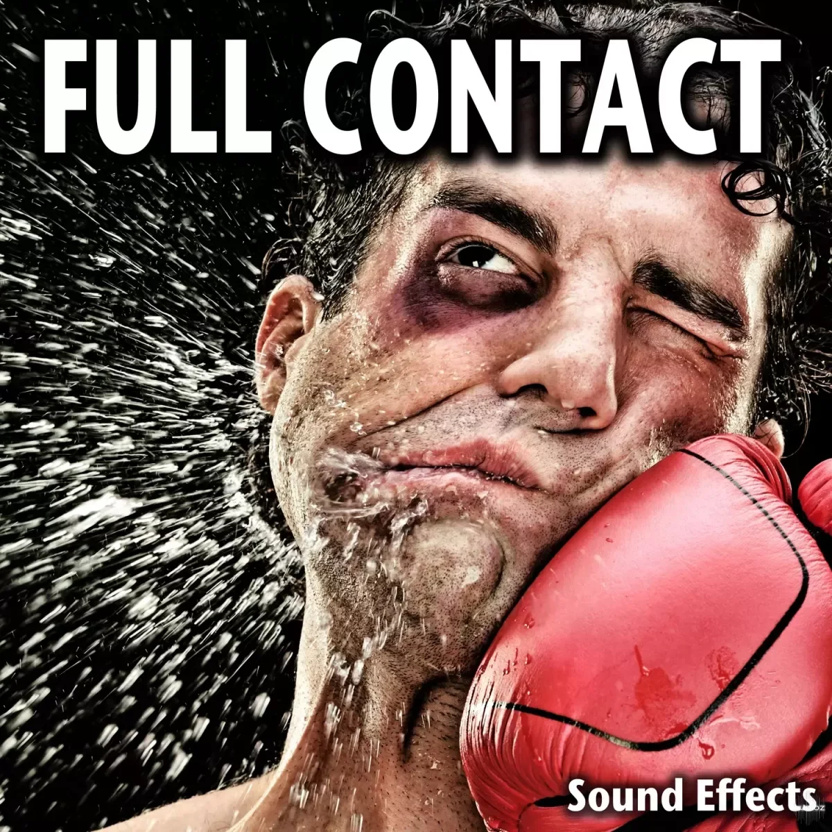 Sound Ideas Full Contact Sound Effects FLAC