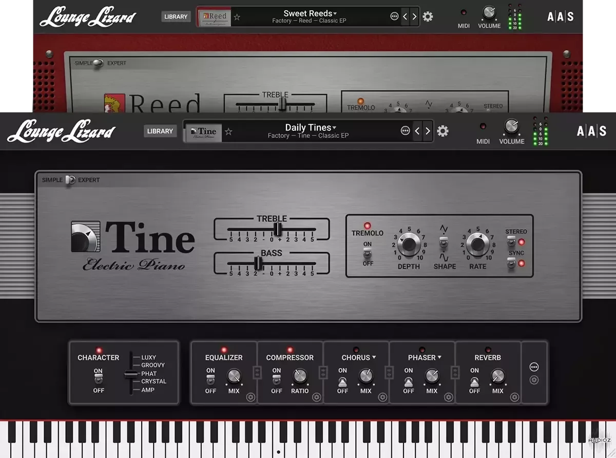 Applied Acoustics Systems Lounge Lizard EP-5 v5.0.1 - V.R