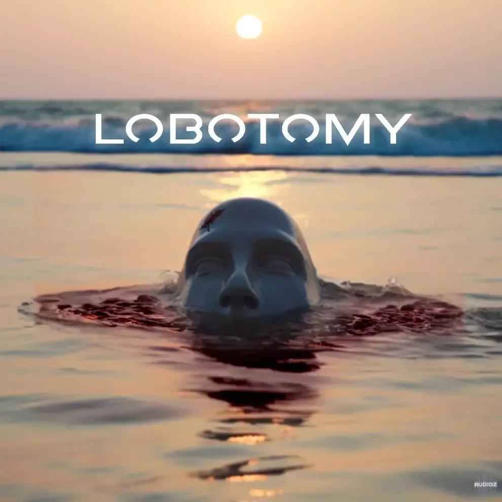VGNs Components of a Lobotomy WAV MiDi Analog Lab V Bank