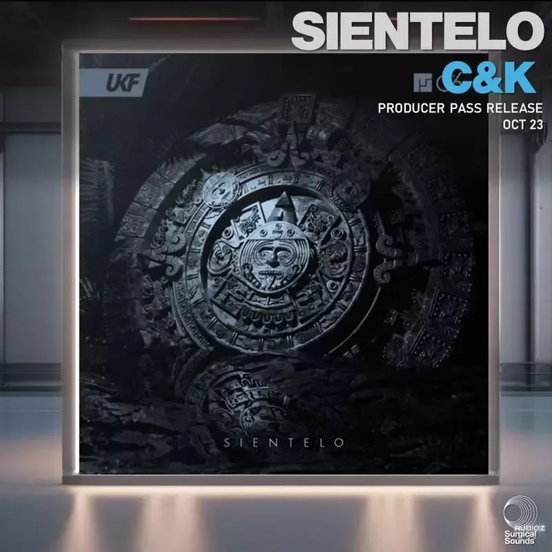 Surgical Sounds Sientelo Recreation Kit WAV MiDi XFER RECORDS SERUM-FANTASTiC