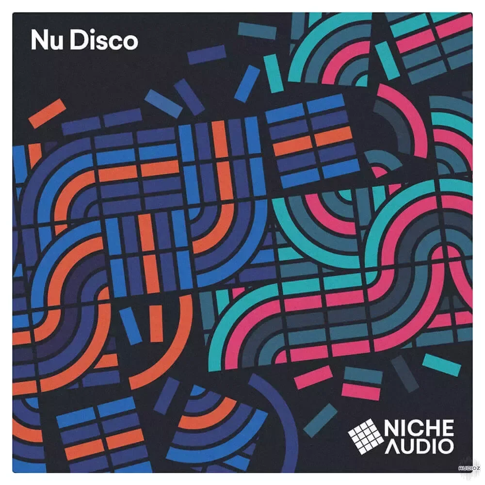 Niche Audio Nu Disco MULTiFORMAT-FANTASTiC