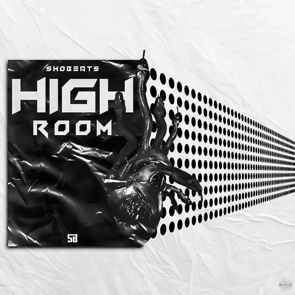 Shobeats High Room WAV MiDi Omnisphere Presets-FANTASTiC