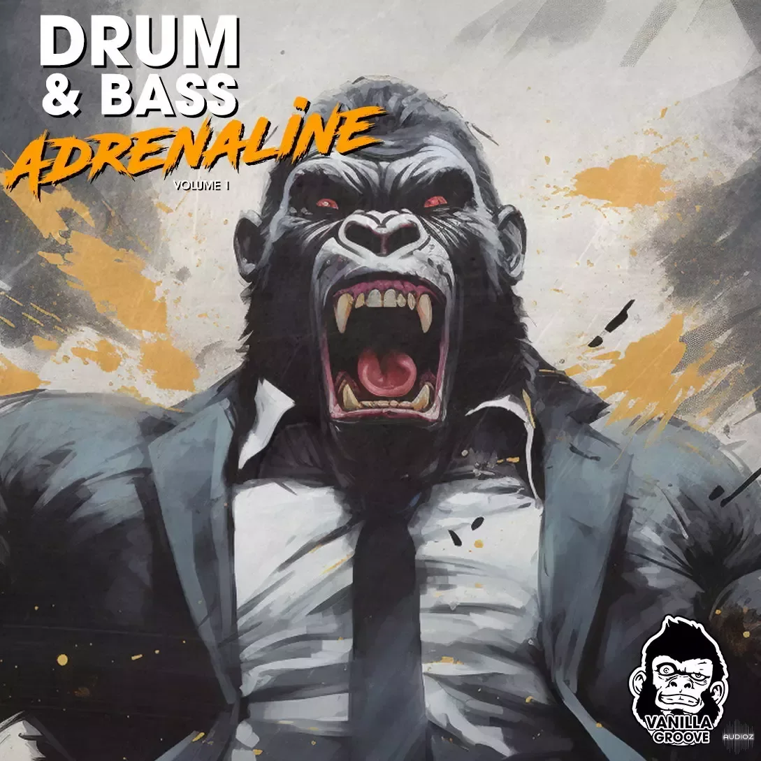 Vanilla Groove Studios Drum And Bass Adrenaline Vol 1 WAV-FANTASTiC