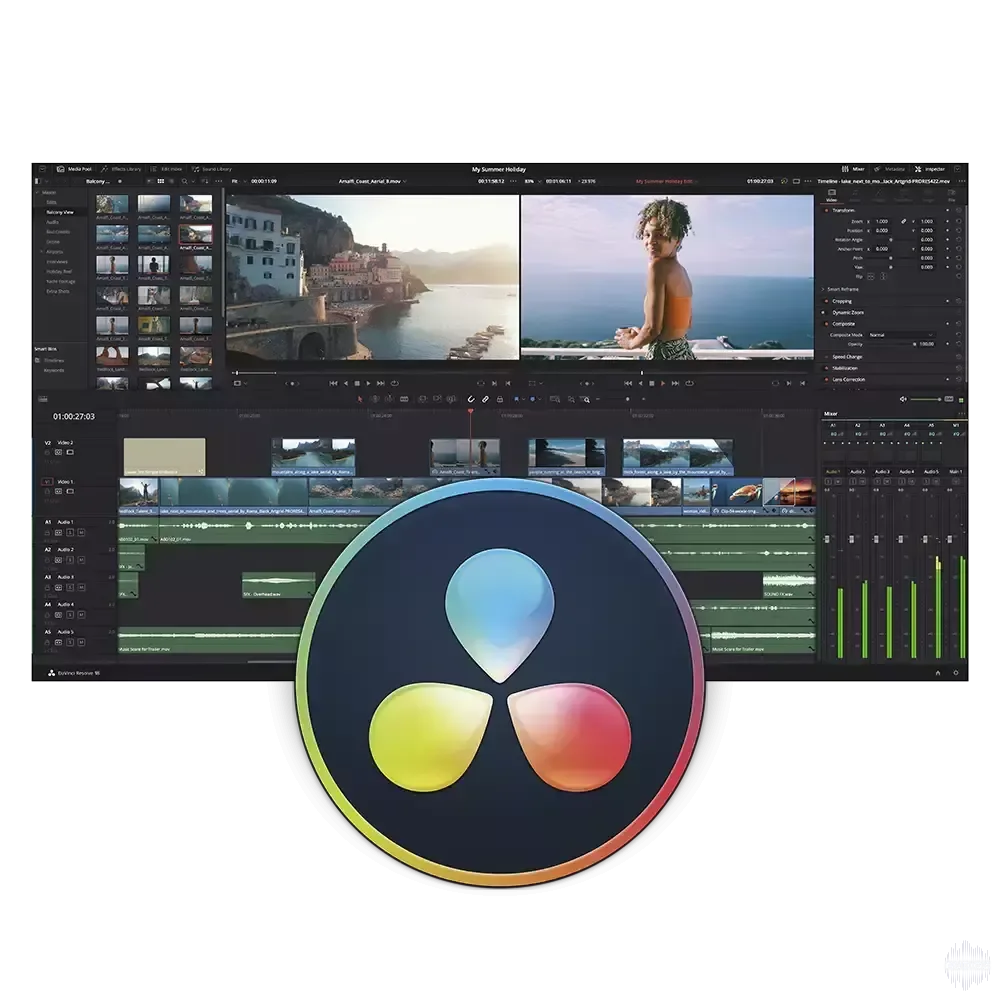Blackmagic Design DaVinci Resolve Studio 20.3.1 LiNUX