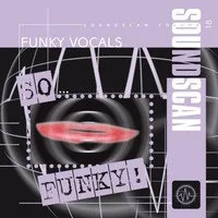 Soundscan Vol.18 Funky Vocals WAV