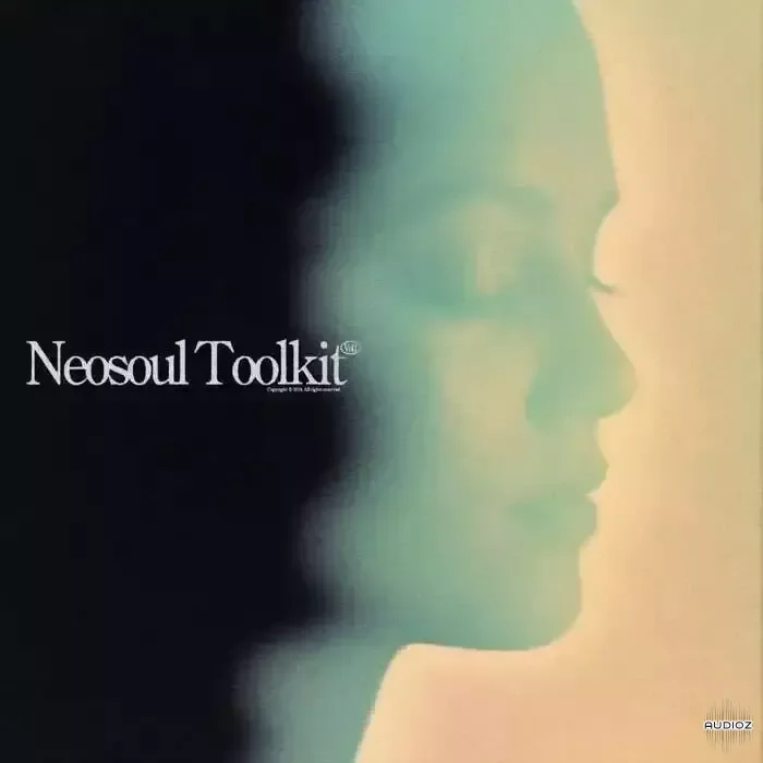 Dionso and Xandros Neo-Soul Toolkit Vol.1 WAV-FANTASTiC