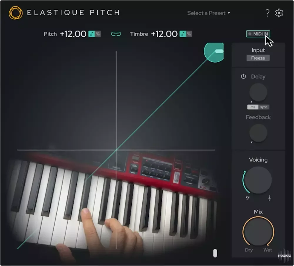 zplane elastiquePitch V2.5.0 macOS - V.R