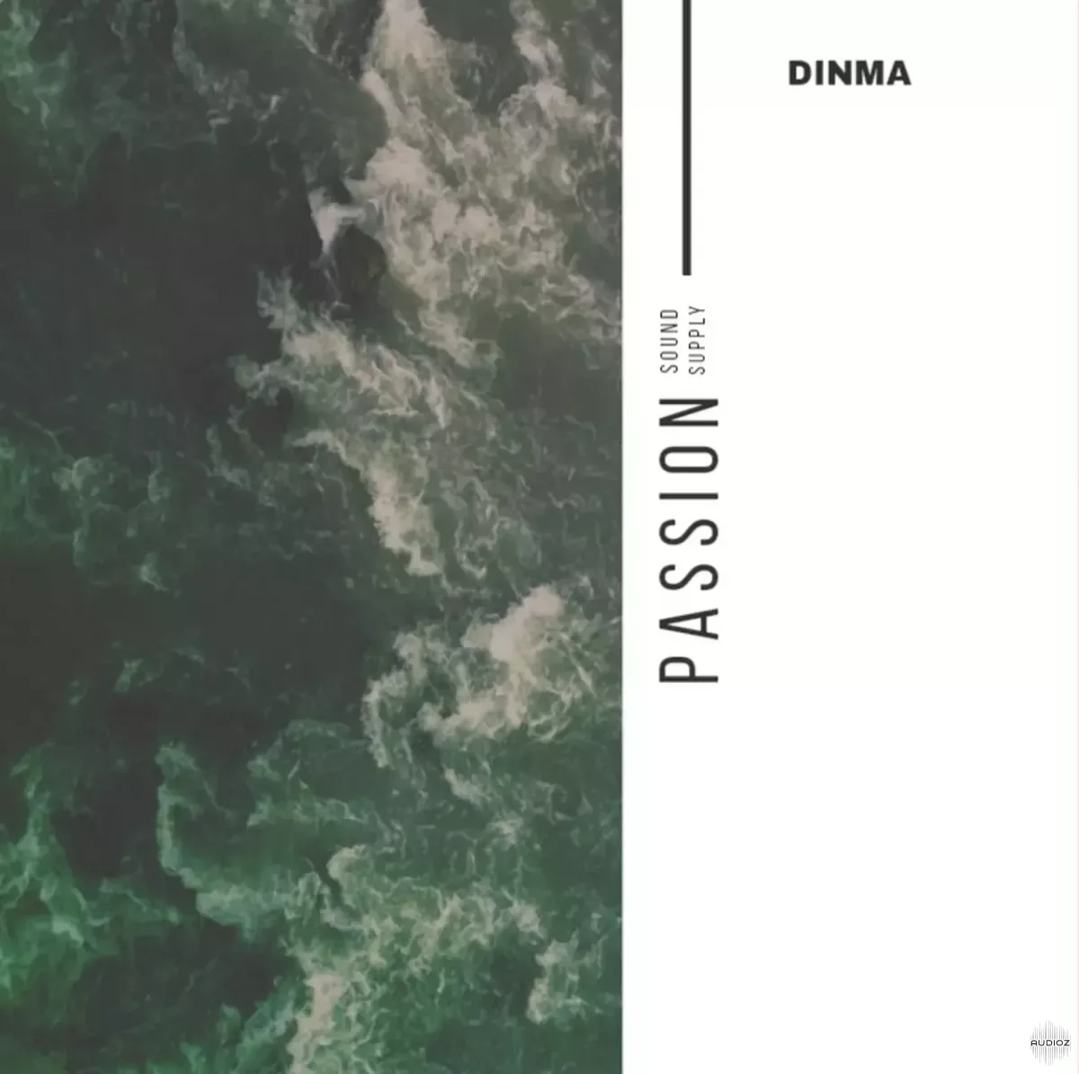 Dinma PASSION Sound Supply WAV FREE