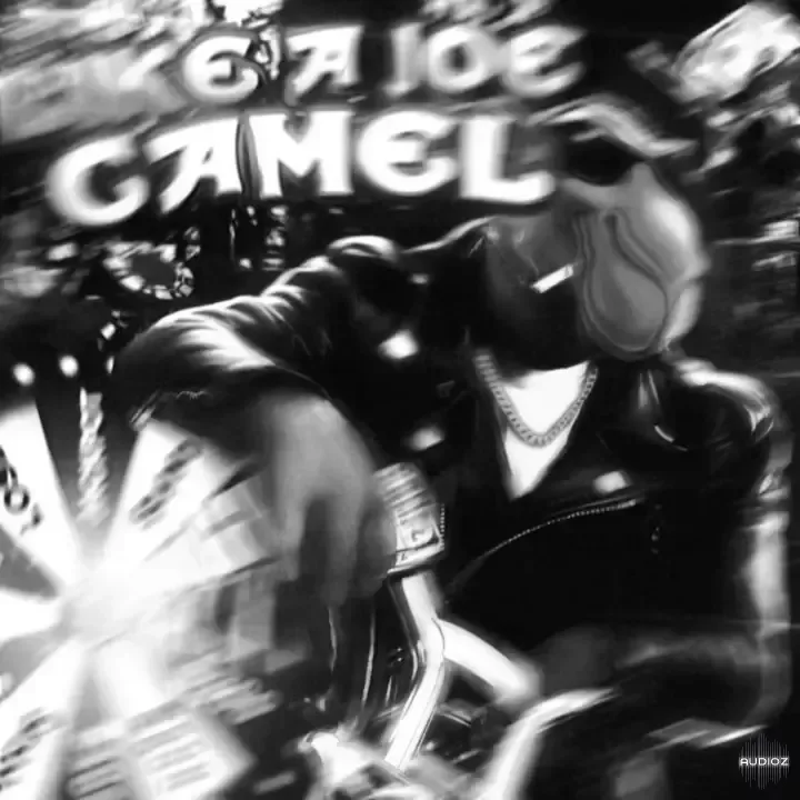 Djcodeinewar Like a Joe Camel Zenology Bank-FANTASTiC