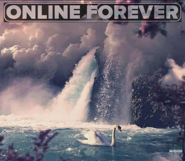 Online Forever Music S3 Vol.40: Paradise - Drake x Tory Lanez Vocal RnB Sample Pack WAV [FREE]