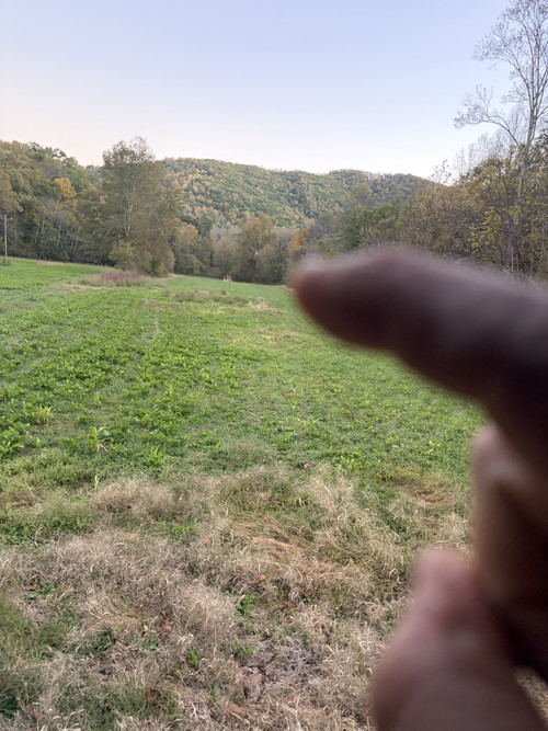 Twitter Thread Images earlybrds annual deer thread 🦌🦌 - 24hourcampfire