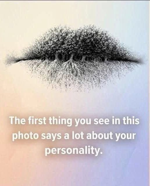 What do you see in the