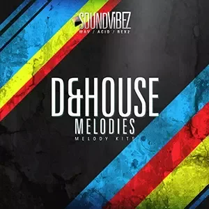 Sound Vibez D and House Melodies MULTiFORMAT-BYS