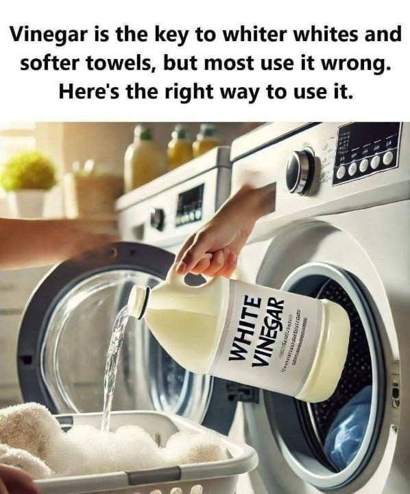 Vinegar The Key to Whiter Whites