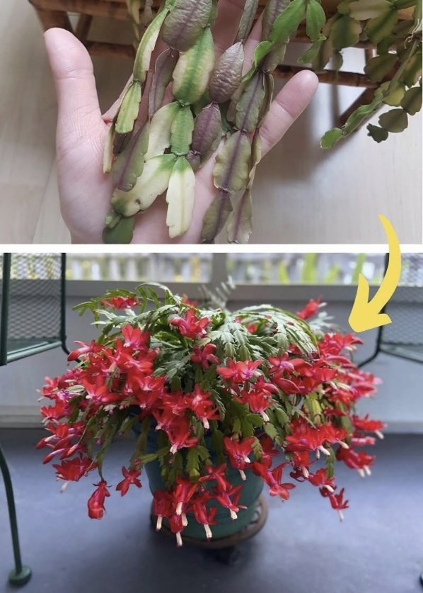 3 Reasons Why The Leaves On