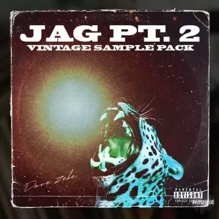 Dave Zeke Jag Pt.2 Vintage Sample Pack WAV