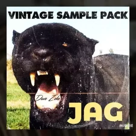 Dave Zeke Jag Vintage Sample Pack WAV