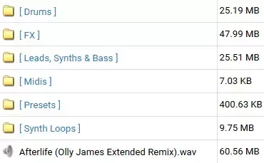 Olly James Signature Sounds Vol.25 The Afterlife Remix WAV MiDi Presets