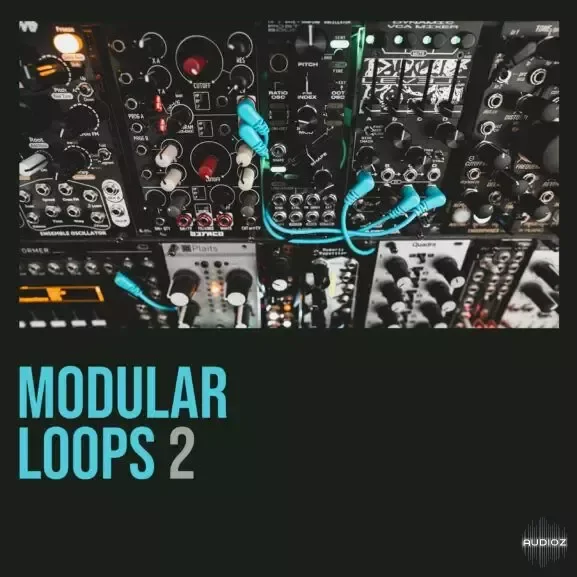 Shed Skin Records Modular Loops 2 WAV