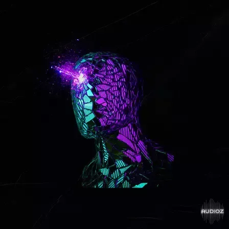Key Jungle Slow Motion Modern RnB Samples WAV MiDi-FANTASTiC