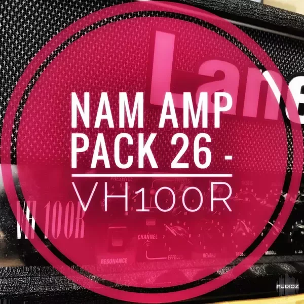 mirrorprofiles NAM Amp Pack 26 - VH100R