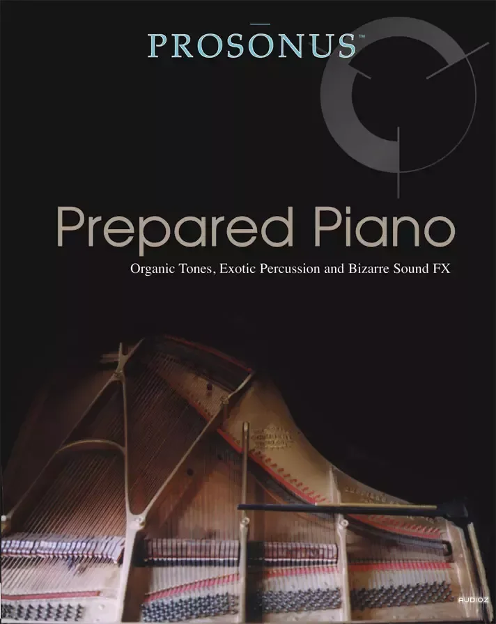 Big Fish Audio Prosonus Prepared Piano