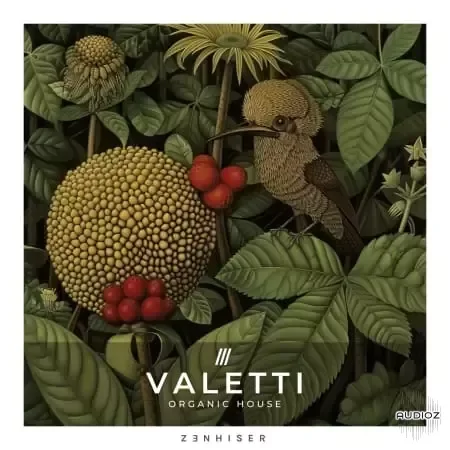 Zenhiser Valetti - Organic House WAV-FANTASTiC