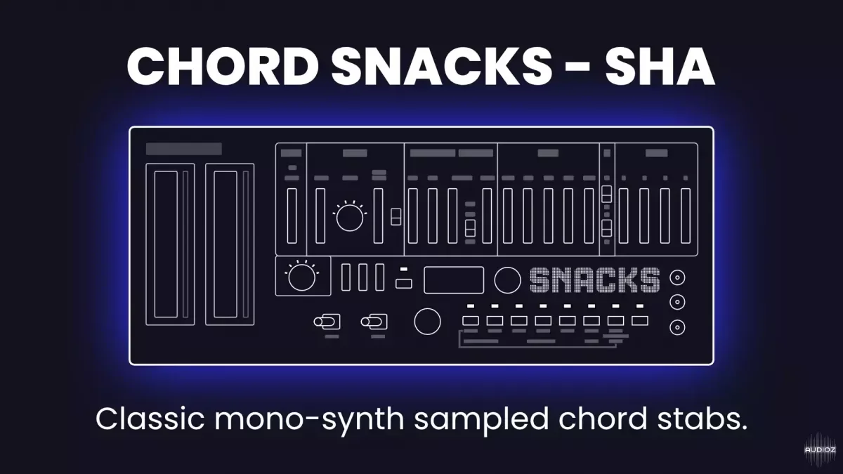 Meat Beats Chord Snacks SHA WAV