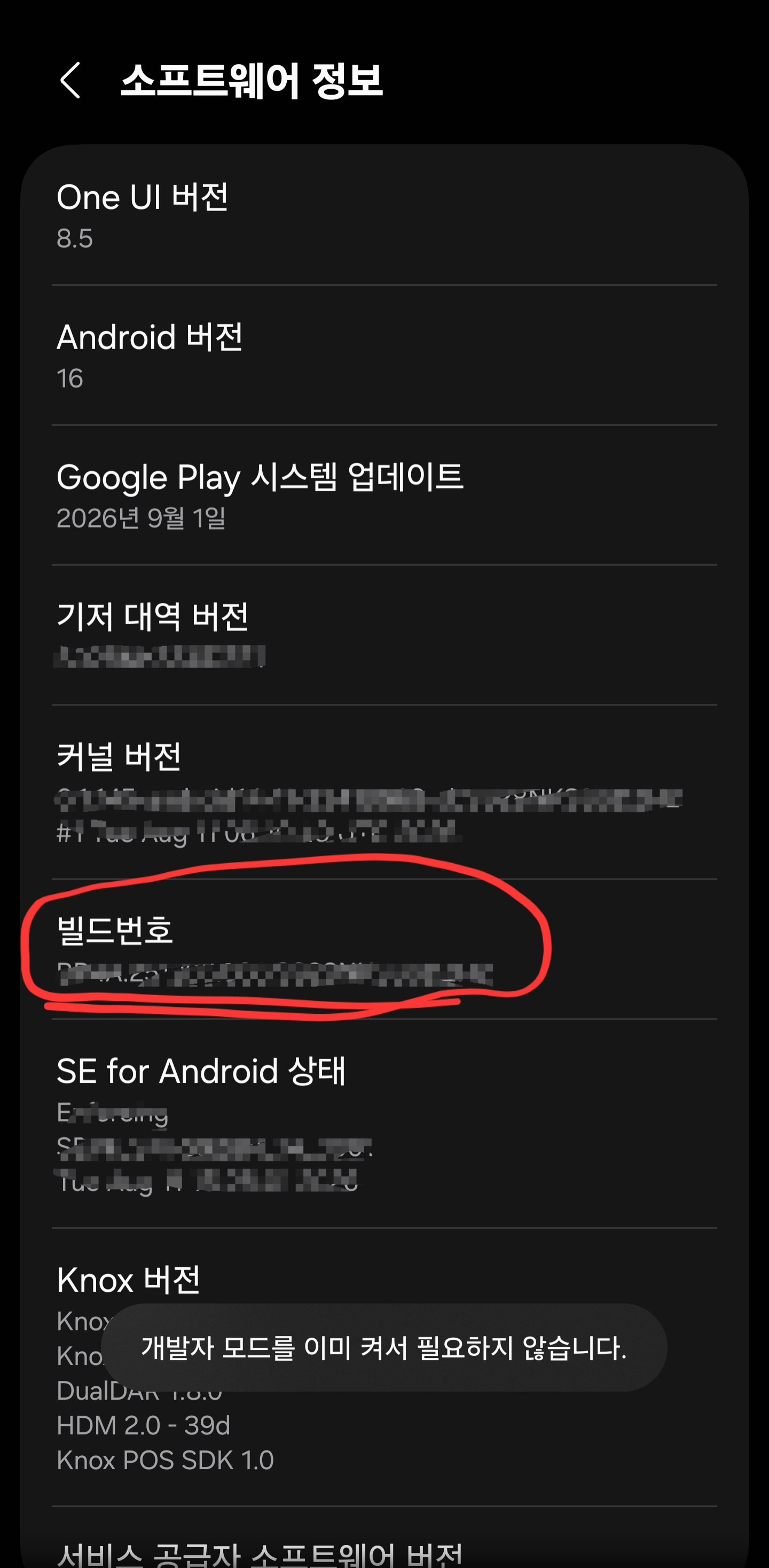 ▲ 개발자 옵션을 활성화하기 위해 소프트웨어 정보 내 빌드번호를 연타하는 세팅 과정