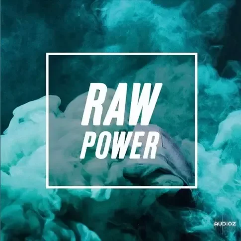 Steinberg Raw Power Groove Agent Expansion (Wav Extract)