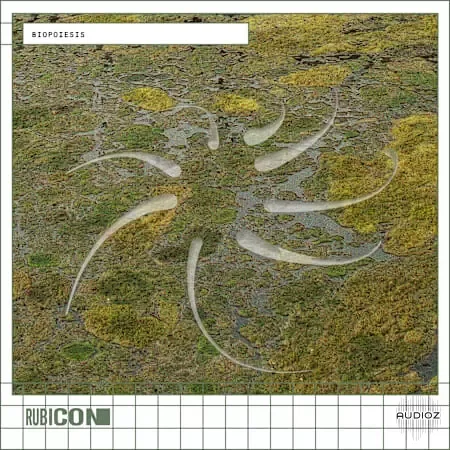 Rubicon Biopoiesis WAV-FANTASTiC
