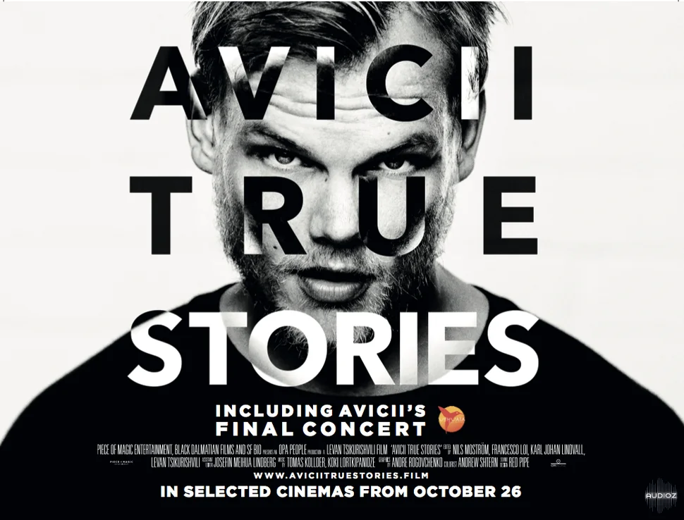 Avicii True Stories 2017 1080p WEBRip X264-AVRATTNING