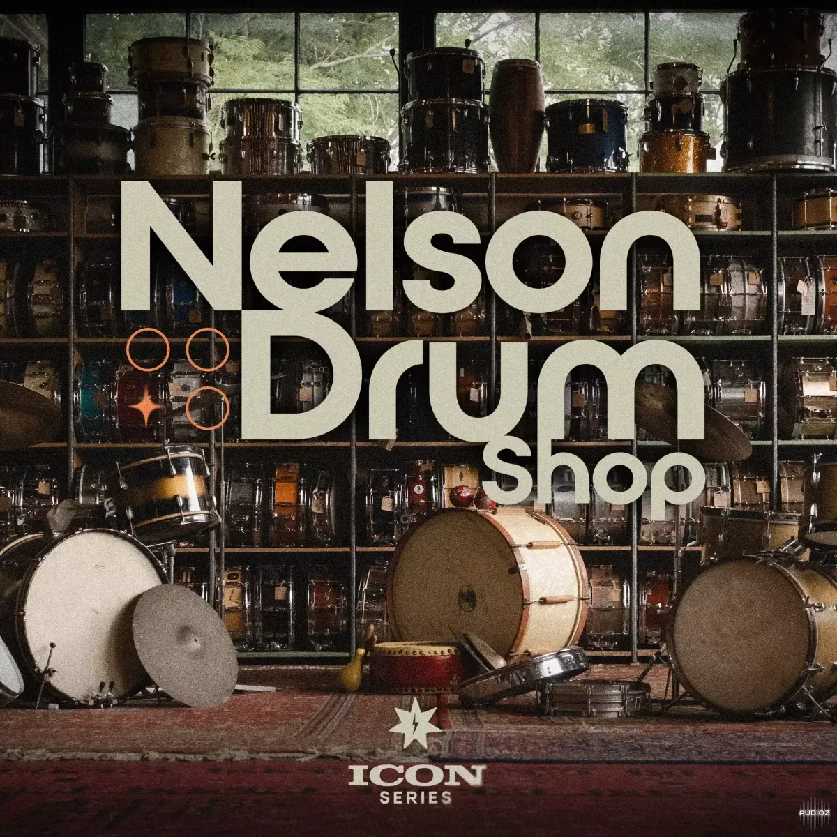 Drum Sample Shop Nelson Drum Shop DELUXE Sample Pack - ONE SHOTS,WAV,LOOPS,PRESETS