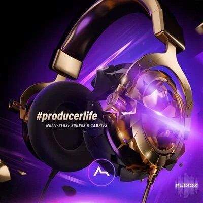 ADSR producerlife WAV MIDI Preset [FREE for Limited Time]